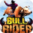 Icon of program: Bull Rider ( 3D Racing Ga…