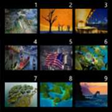 Icon of program: Wallpapers From Bing for …