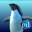 Icon of program: PI VR Life on the Ice
