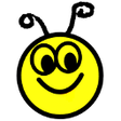 Icon of program: GoldBug Instant Messenger