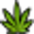 Icon of program: MaryJane Donation Live Wa…