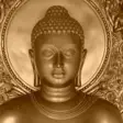 Icon of program: Buddha Quotes & Buddhism …
