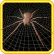 Icon of program: 3D Spider Catch - Challan…