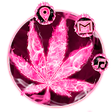 Icono de programa: Pink Smoky Fire Rasta Wee…