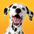 Icon of program: Dalmatian Dog Simulator