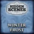 Icon of program: Hidden Scenes - Winter Fr…