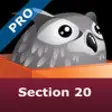 Icon of program: Section 20 Intro for Leas…