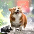 Icon of program: Dog Wallpapers HD