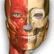 Icon of program: Visual Anatomy Free- Medi…