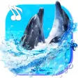 Icon of program: Dolphins Lovely Live Wall…