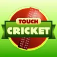 Icon of program: Touch Cricket : Test Matc…