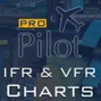 Icon of program: PRO Pilot IFR & VFR Terms…