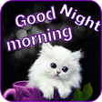 Icon of program: Good Morning - Good Night…