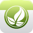 Icon of program: Air Cleaning Plants