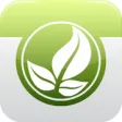 Icon of program: Air Cleaning Plants