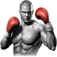 Icon of program: Real Boxing