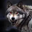 Icon of program: Wolf Wallpaper HD : backg…