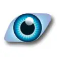 Icon of program: Godrej IQ Vision MobiClie…