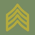 Icon of program: Army NCO Guide
