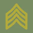 Icon of program: Army NCO Guide