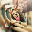 Icon of program: PhotoEditor - Collage Mak…