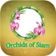 Icon of program: Orchids of Siam