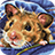 Icono de programa: Hamster Puzzles