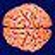 Icon of program: Brain Test