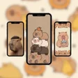 Cute Capybara Wallpaper HD icon