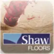 Icon of program: Shaw Floors Carpet Stain …