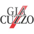 Icon of program: Giacuzzo Fahrzeugdesign