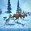 Icon of program: Arctic Wolf Sim 3D - Wild…