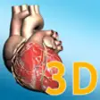 Icon of program: Explore the Heart in 3d
