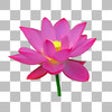 Background Eraser for iOS - Super Photo Chop && Photo Cut Out Image Outline icon