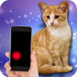 Icono de programa: Moving laser pointer for …