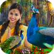 Icono de programa: Peacock Photo Frame : Gar…
