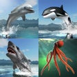 Icon of program: Sea Battle MMO Multiplaye…