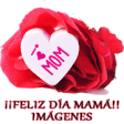Icon of program: Feliz Da de la Madre