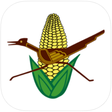 Icon of program: Roadrunner