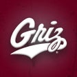 Icon of program: Montana Grizzlies