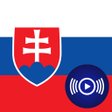 Icon of program: SK Radio Pro