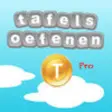 Icon of program: Tafel Coins Pro