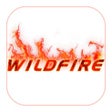 Icon of program: Wildfire - Axis Bank