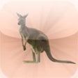Icon of program: Animals Of Australia