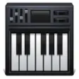 Icon of program: Pianola