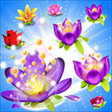 Icono de programa: Blossom Crush Star for Wi…