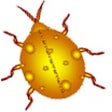 Icon of program: Bug Trail Desktop