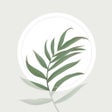 Icon of program: Blossom - Plant Identific…
