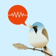 Icon of program: Zwitschomat - Vogelstimme…