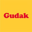 Icon of program: Gudak Cam
